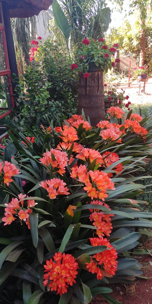 WhatsApp Image 2020-06-22 at 12.54.15